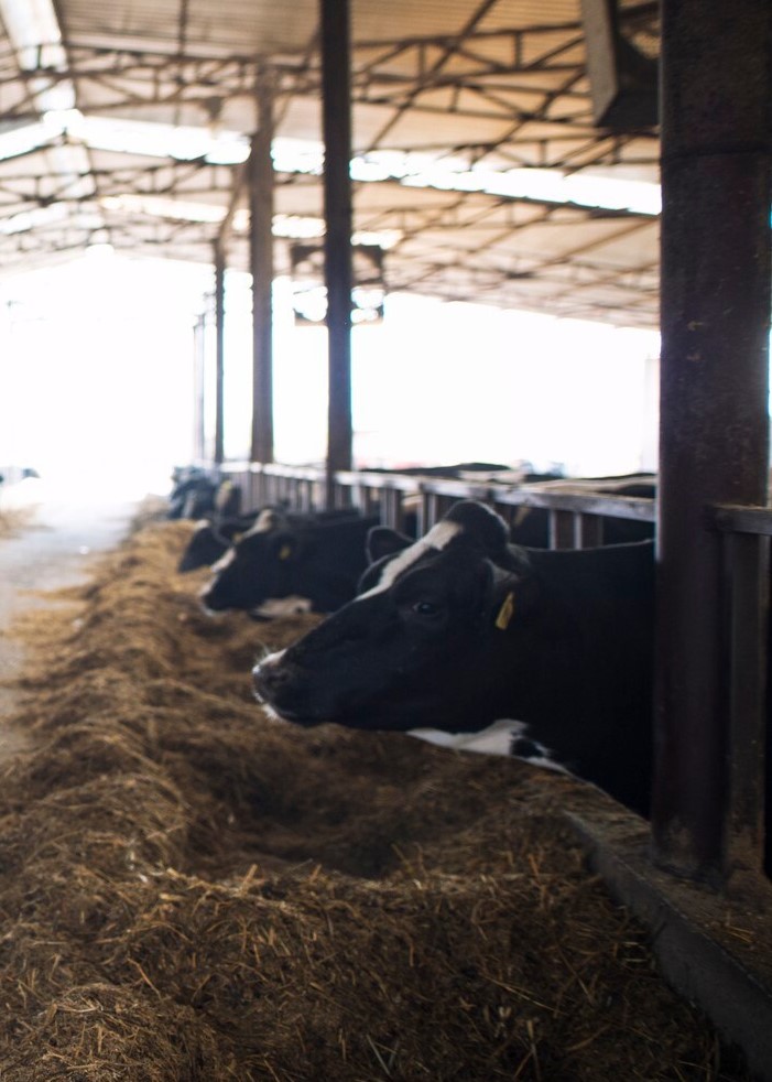 1713850268821856.jpg 4.jpg