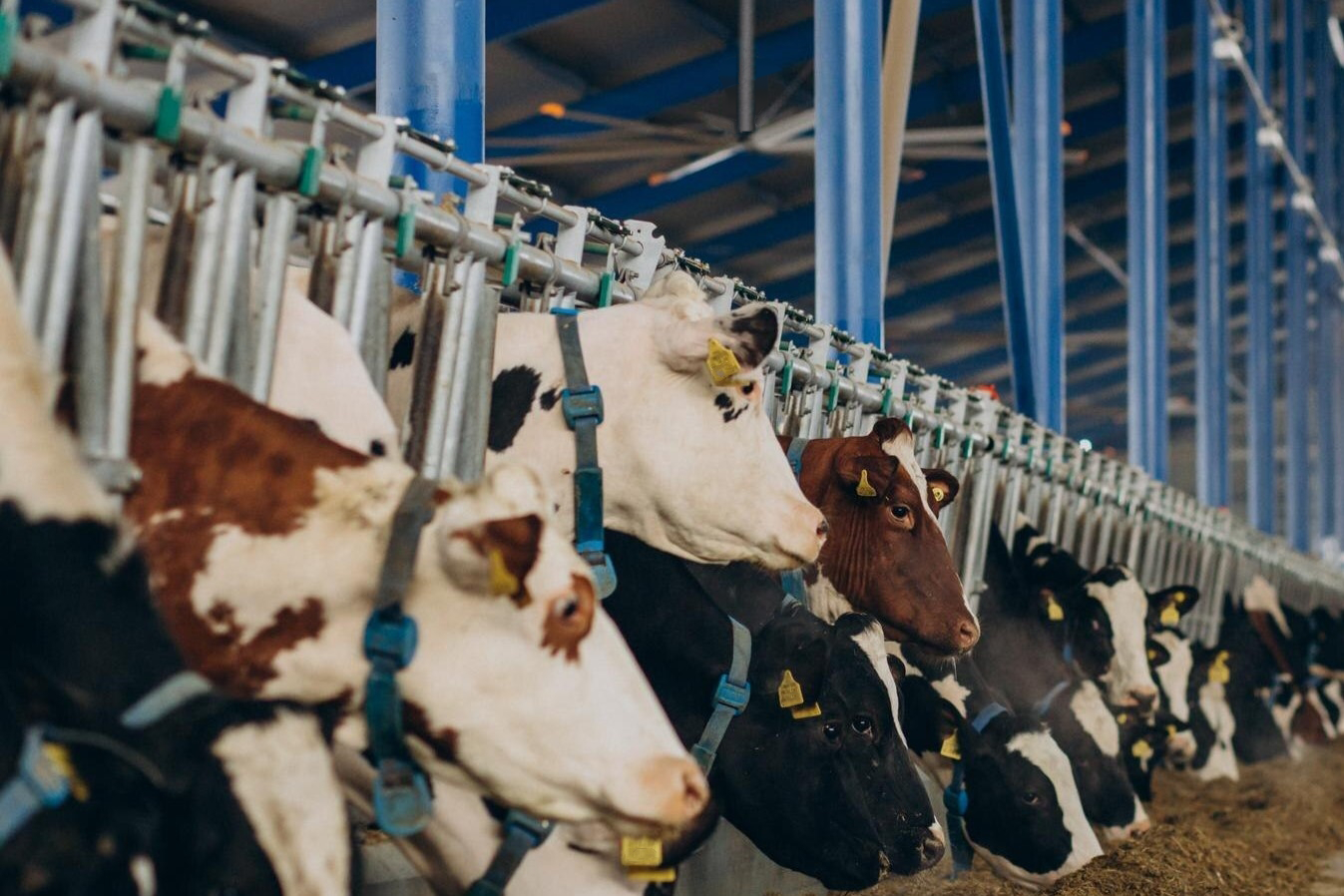 1713850369493629.png 5改.png